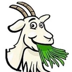 Witte_GijUt's profile picture. Witte Gij Ut is de dorpsquiz voor Erp, Keldonk en Boerdonk. Gij doet toch zeker ok mee?