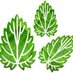 L'Ortiga AgroEco (@ortigamonmany) Twitter profile photo L'Ortiga AgroEco (@ortigamonmany) Twitter profile photo