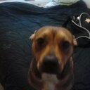 colette burroughs - @coletteburroug2 - Twitter