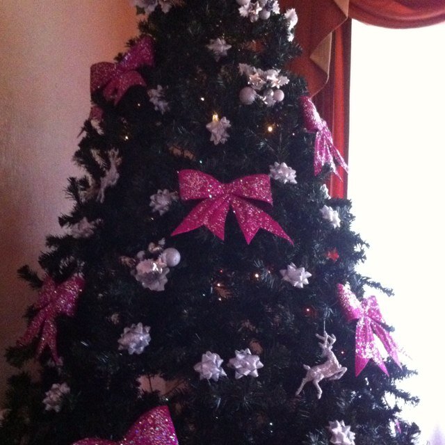 LeitonLidieth's profile picture. 