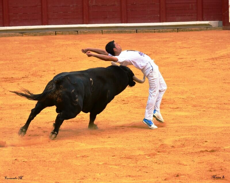 El toreo con verdad se degusta despacio