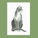 Leslie Newcomer - @thekla1117 - Twitter