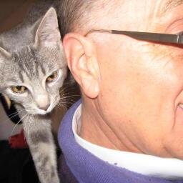 guglie9's profile picture. Nel crogiolo dei più, alla ricerca di ciò che adesso non c'è ...