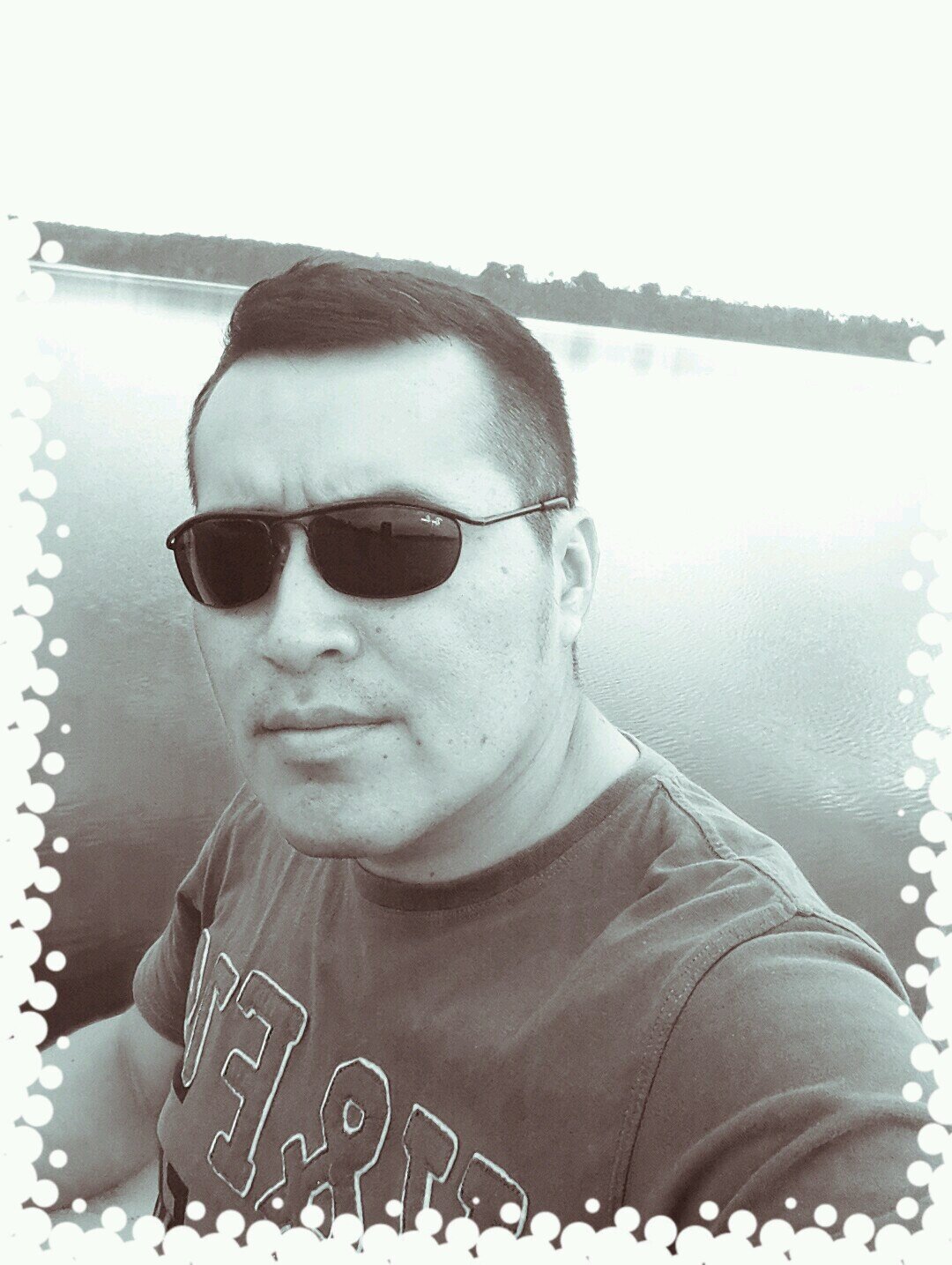 L.D.Q. 100% albo