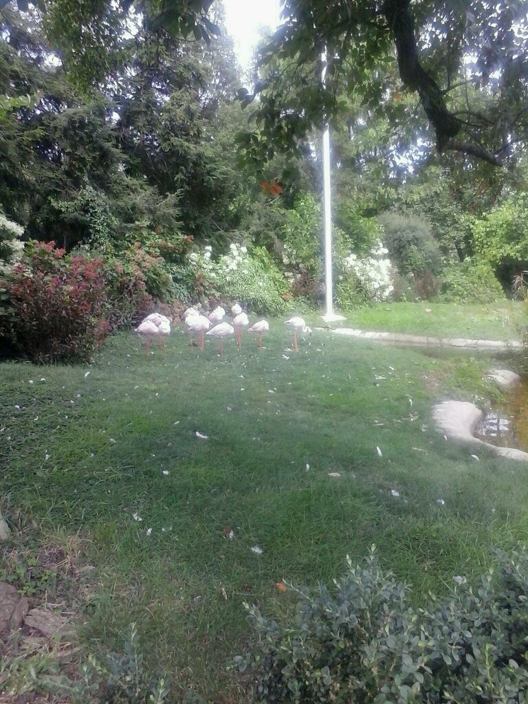 larryj98366's profile picture. Lover and follower of Jesus, Philanthropist