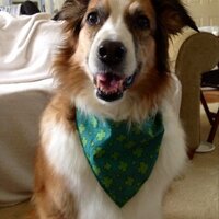 crissy (@crifabulous) 's Twitter Profile