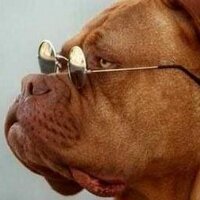 Rafael Corleone (@raffaellocorleo) 's Twitter Profile