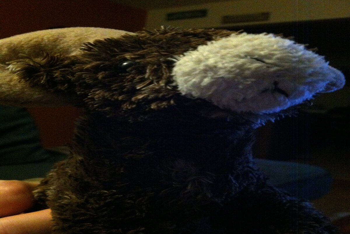 Grange Motivator, Agriculture Enthusiast, Sheep