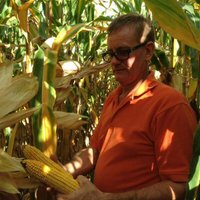 Scott Banks (@eastcropper) 's Twitter Profile