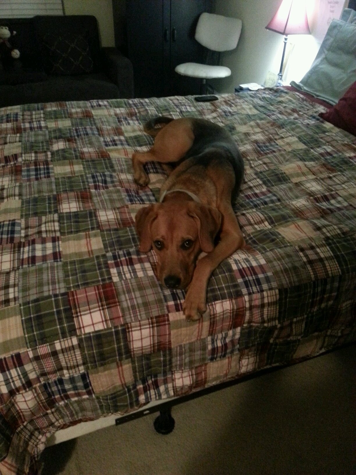 kylegreer7's profile picture. 16 years old! Kik me and follow my Instagram @kylegreer7! #Seether #Staind #Shinedown #Attila #ChelseaGrin #AskingAlexandria [(!Rock'N'Roll Life!)]