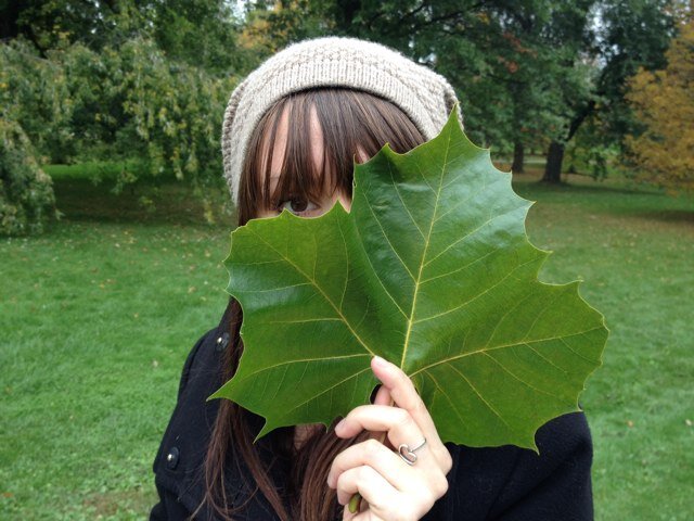 MelKM1's profile picture. Be gentle with yourself. You are a child of the universe, no less than the trees and the stars; you have a right to be here.
(She/ Her)