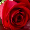 ROse (@054539991) Twitter