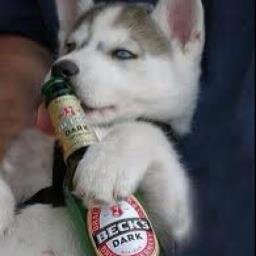 DrunkBlizzard's profile picture. Definetly affliated with SCSU