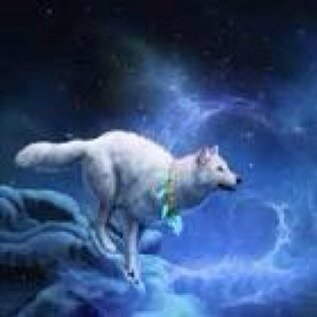 M/Rp/Straight/ i am a loyal and loving wolf my Mate is: @AngelWhiteWolf1 who i love very much hurt them and i hurt u
