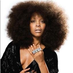 Badu fans, unite here as we promote the Queen, Erykah Badu!!! (This is not the real Erykah Badu, just a fan page)