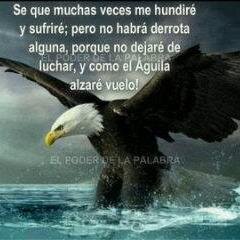 soy de muy buen genio, optimista y leal a mis amigos. Chavista.. autocritica pedía mi comandante