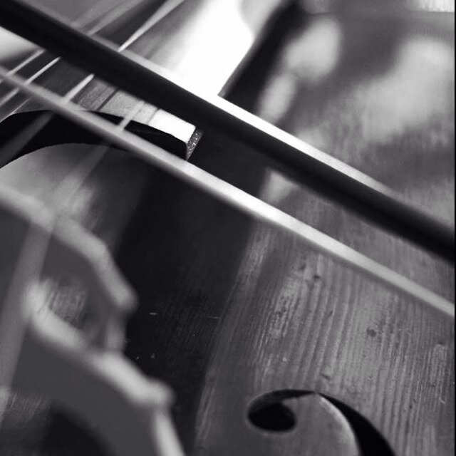 “As a teenager—and in American culture generally—one must either eschew classical music entirely, or eschew everything but.” ——Fiona Kelliher