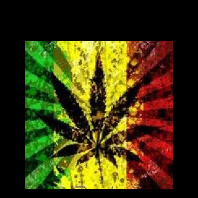 chinkeyed420's profile picture. 