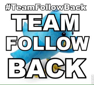 Team Follow Back | Bringing you daily tweets to help boost your numbers! | Show that follow button some love and i'll do the same!! #teamfollowback