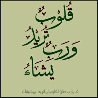 ‏تغريداتي هي إنتقاء وأختيار لمفردات تلذذت بقراءتها، فنشرتها من أجل ناس راقيين وليس بواقع أعيشه تماما If you want to know me just follow me♡.