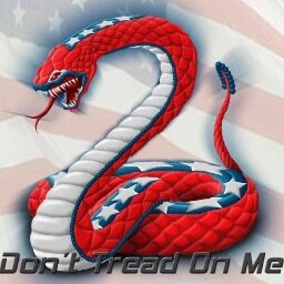 Defender of the Constitution. Defender of the Bill of Rights. Without the 2nd, you lose the 1st. #Christian #Infidel #MolonLabe #ΜΟΛΩΝΛΑΒΕ #NRA #GOA