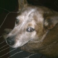 mckaskill  heather (@mckaskillheathe) 's Twitter Profile
