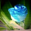 أنور الشمراني (@anor_saad) Twitter