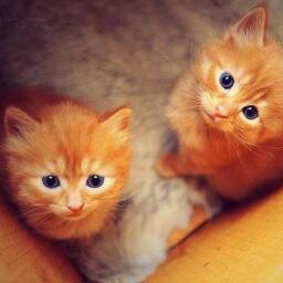 Yassooo81's profile picture. 