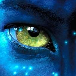 Sasha_Bodarev's profile picture. Врач-хирург