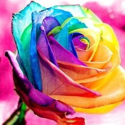 valz2303's profile picture. Somos peregrinos sobre la tierra.Anónimo.