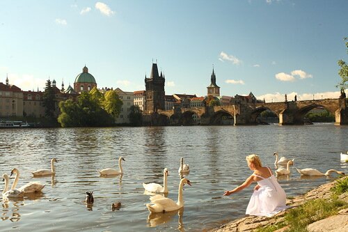 Jo_Po_Br's profile picture. 