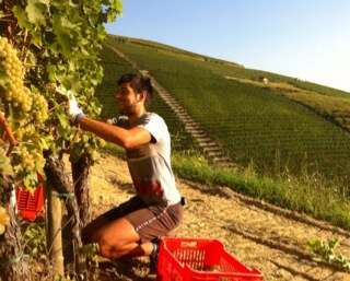 Azienda agricola Matteo Correggia, Roero Wines