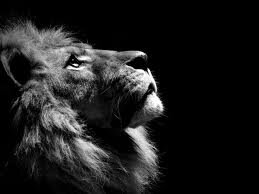 Loved Me Back to Life .

I FOLLOW BACK