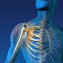 denmedical's profile picture. RADIOFREQUENCE - QST-CHEPS-TENS-RECOVERY RX