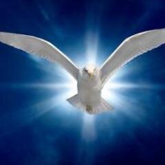 A NEW WALK OF LIFE WITH GOD THROUGH CHRIST JESUS WHO LOVED ME AND GAVE HIS LIFE FOR  ME
