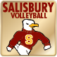 Salisbury University volleyball is one of 21 Sea Gull varsity sports. Fans and followers are expected to be supportive in comments about the program.