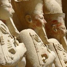 BloomerF's profile picture. Star Gazer