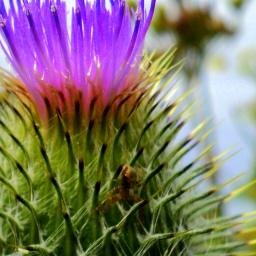 An Outdoor Enthusiast who enjoys Climbing and Paddling through Scotland!