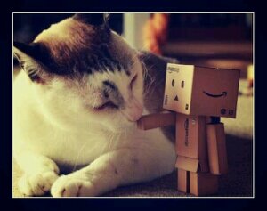 cannonbo_uya's profile picture. サケ釣り、バイク、車、各種エンジン付き改造チョコット製造、写真、やってます。 ブッこみがメイン。休日カメラマン始動中。5Dmark3&7Dmark2で。#CANON #一眼レフ  #写真撮ってる人と繋がりたい #写真好きな人と繋がりたい #サケ釣り #ブッコミ #北見 #カメラ #写真部 #カメラ仲間募集