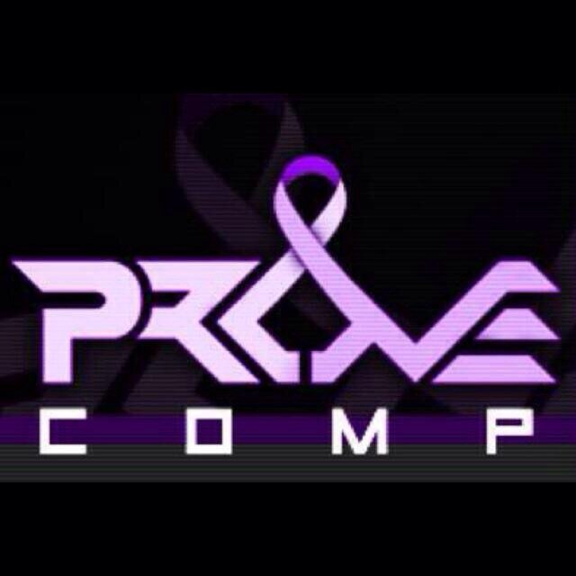 Team Roaster:
 Owner: (Main OBJ) @ProVeElmo Team Caption: (Support) @ProVeAgony
Member: (Slay) @ProVeHaste  (Support Slay) @ProVeJuKework
Manager @ProVEJamez