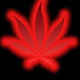 manuela86000184's profile picture. 