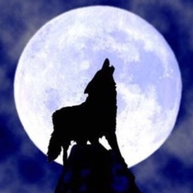 就活に失敗した無能です　将来は人工知能として電子の海を漂う予定です　よろしくお願いします