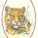 Allen Naugle - @Allen_Naugle - Twitter