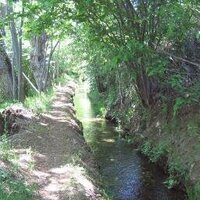 René Durand (@angoustrine) 's Twitter Profile Photo