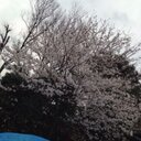 myb (@01270223) Twitter