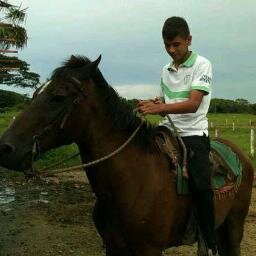 Fútbol: El sentimiento mas sincero de este mundo, un amor que es imposible describir, solo se siente, se vive.