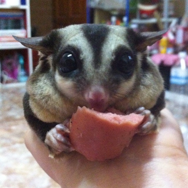 รักทุกคนหน้า(อีกครั้ง)