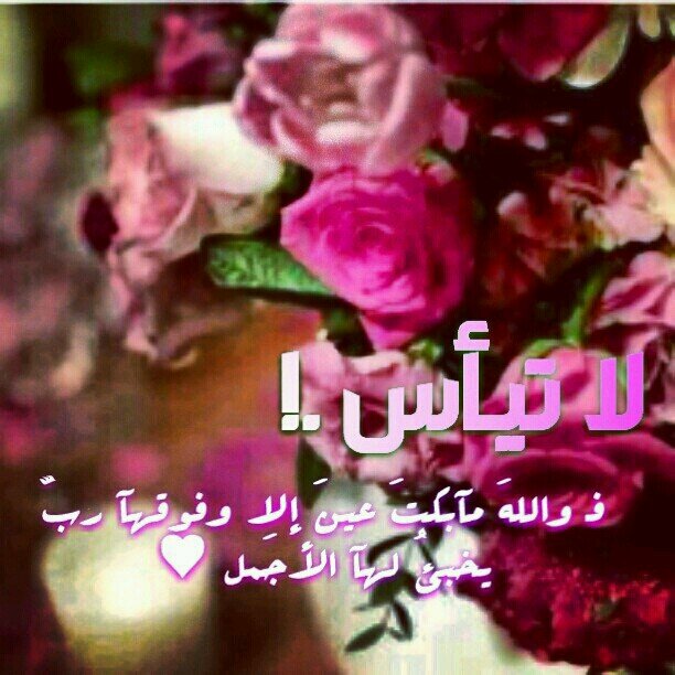 ‏‏‏كلنا راحلون،،،

عن الدنيا تاركون،،،

والى القبر ملتقون،،،

فماذا نحن فاعلون،،‎

(اذكروني بدعوه ولا تنسوني) ‎#شموخ الامارات#