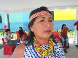 Directora general de la organizacion no gubernamental Red Ambiental de mujeres indigenas warao.zona postal 6401 celular 0424-1410728 correo daliayanez@hotmail.c