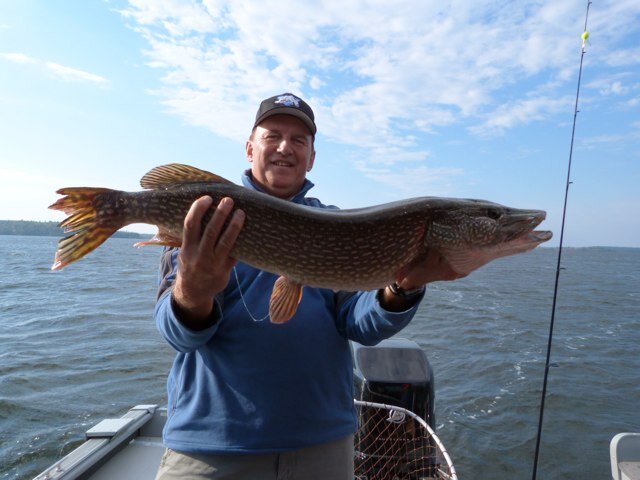 schrize's profile picture. 